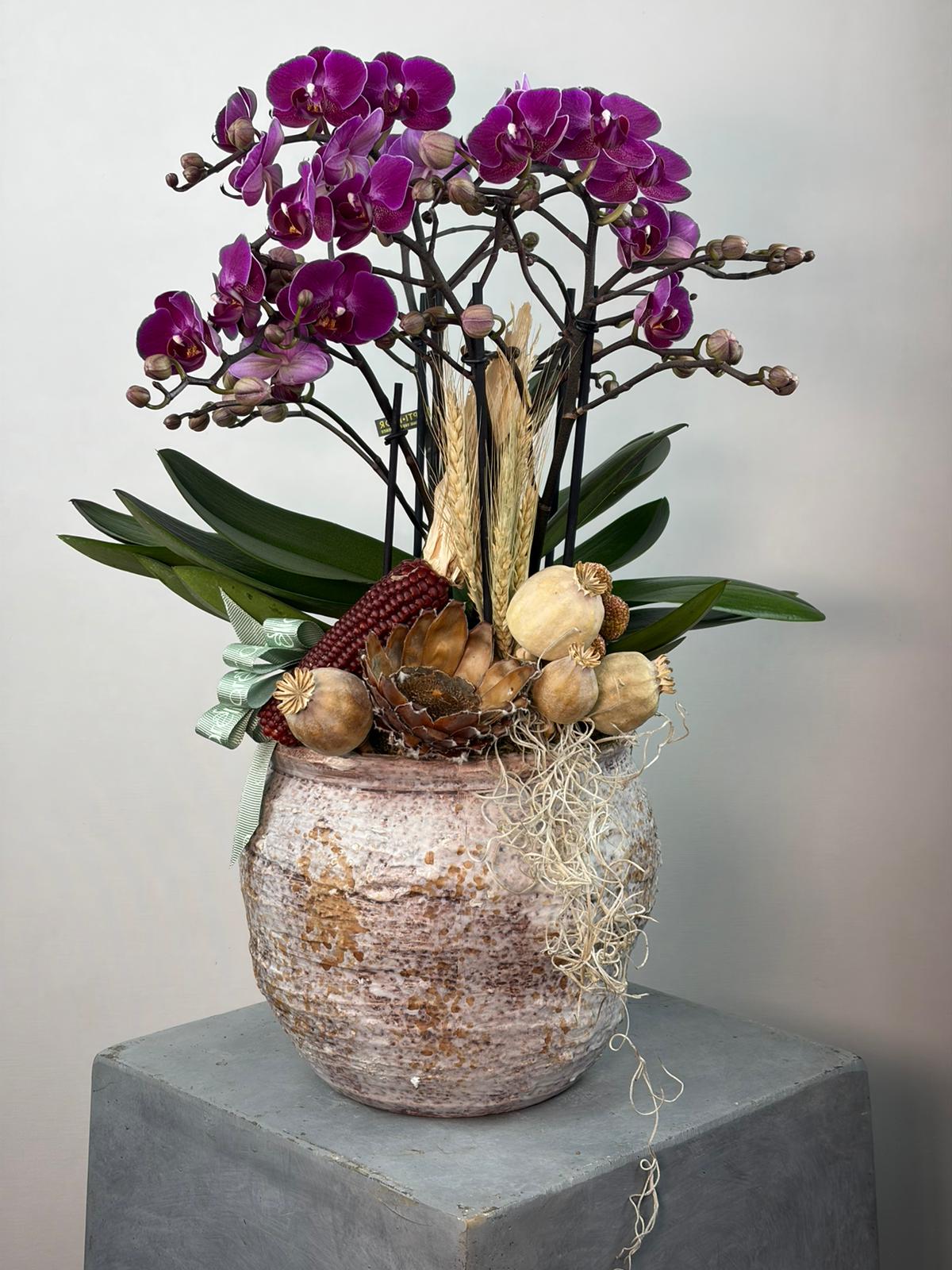 Handmade Seramik Vazoda Bellissimo Orkide